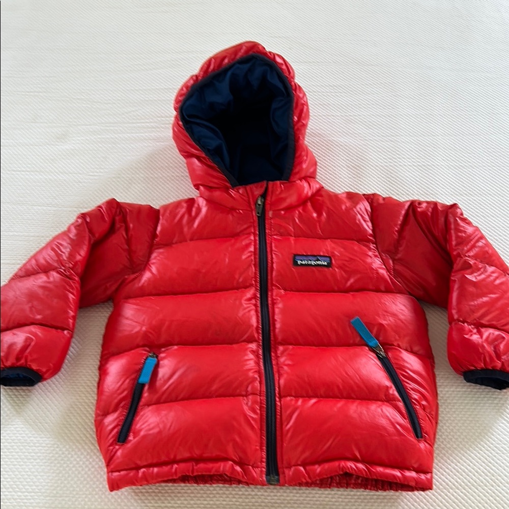 Patagonia Vibrant Red Puffer Jacket with Blue Accents down fill